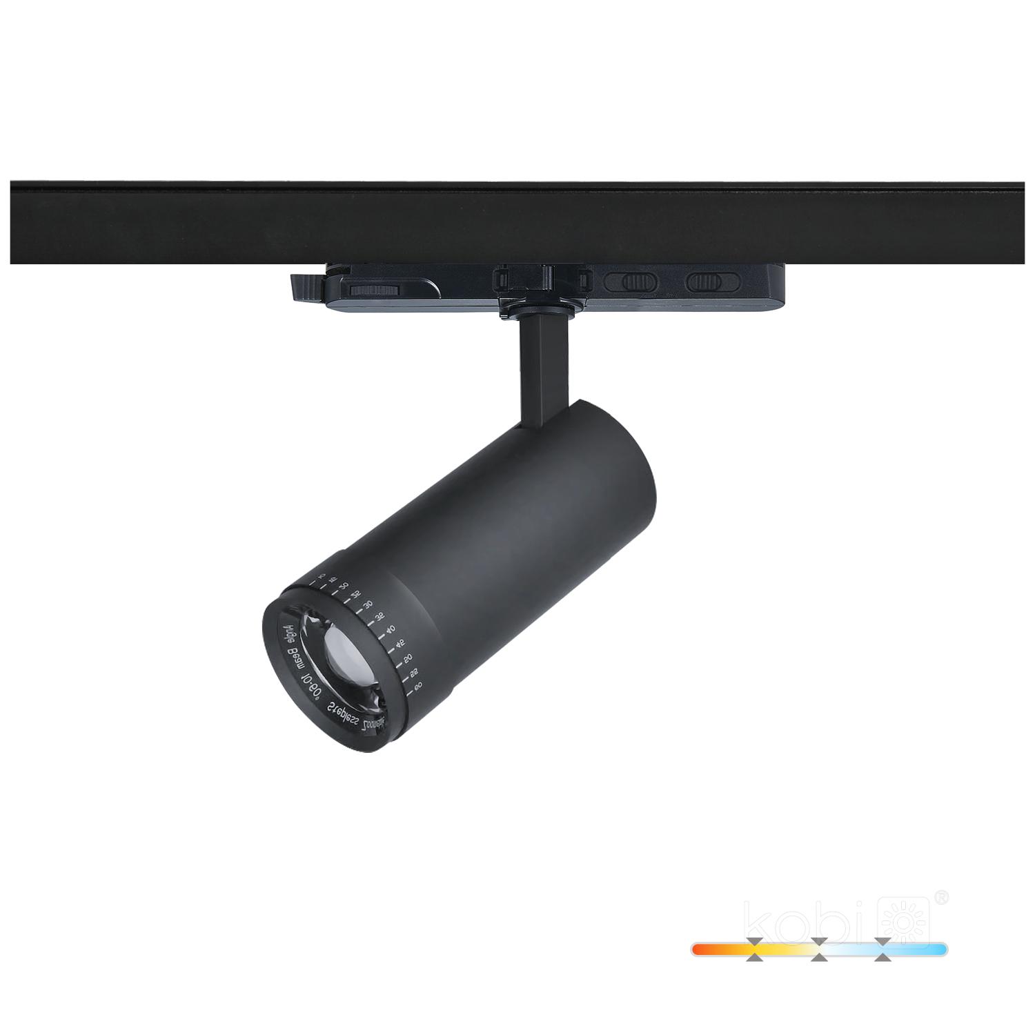10W LED akcentinis šviestuvas į 3 fazių bėgelius NEXTRACK VISION, juodas, 3000/4000/5000K, 30-60°