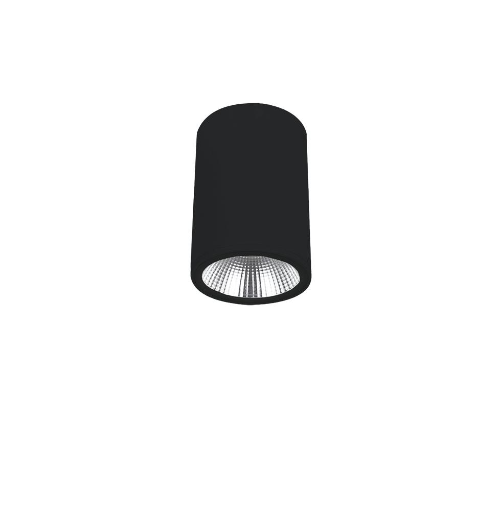 10W LED paviršinis fasado šviestuvas DERMOT, juodas, 3000K, IP65, 4334801