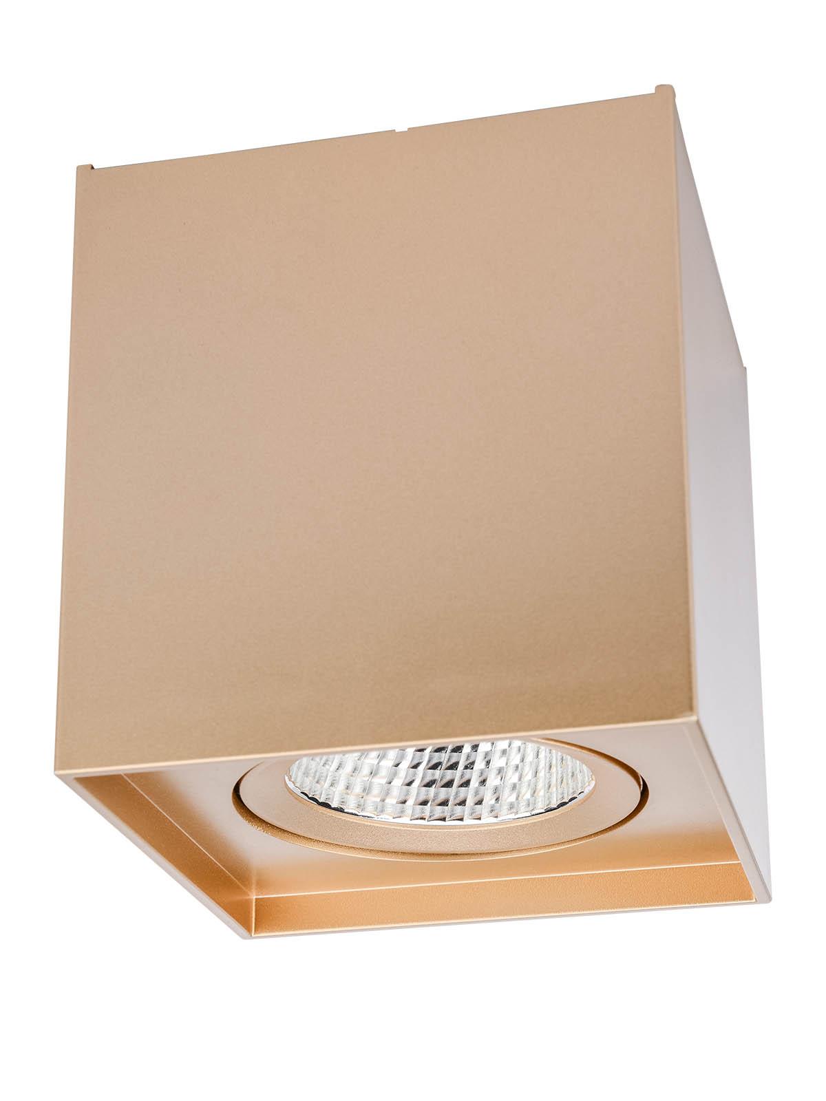 10W LED paviršinis pakreipiamas lubinis šviestuvas PC 01, matinės aukso sp., 4000K - Image 3