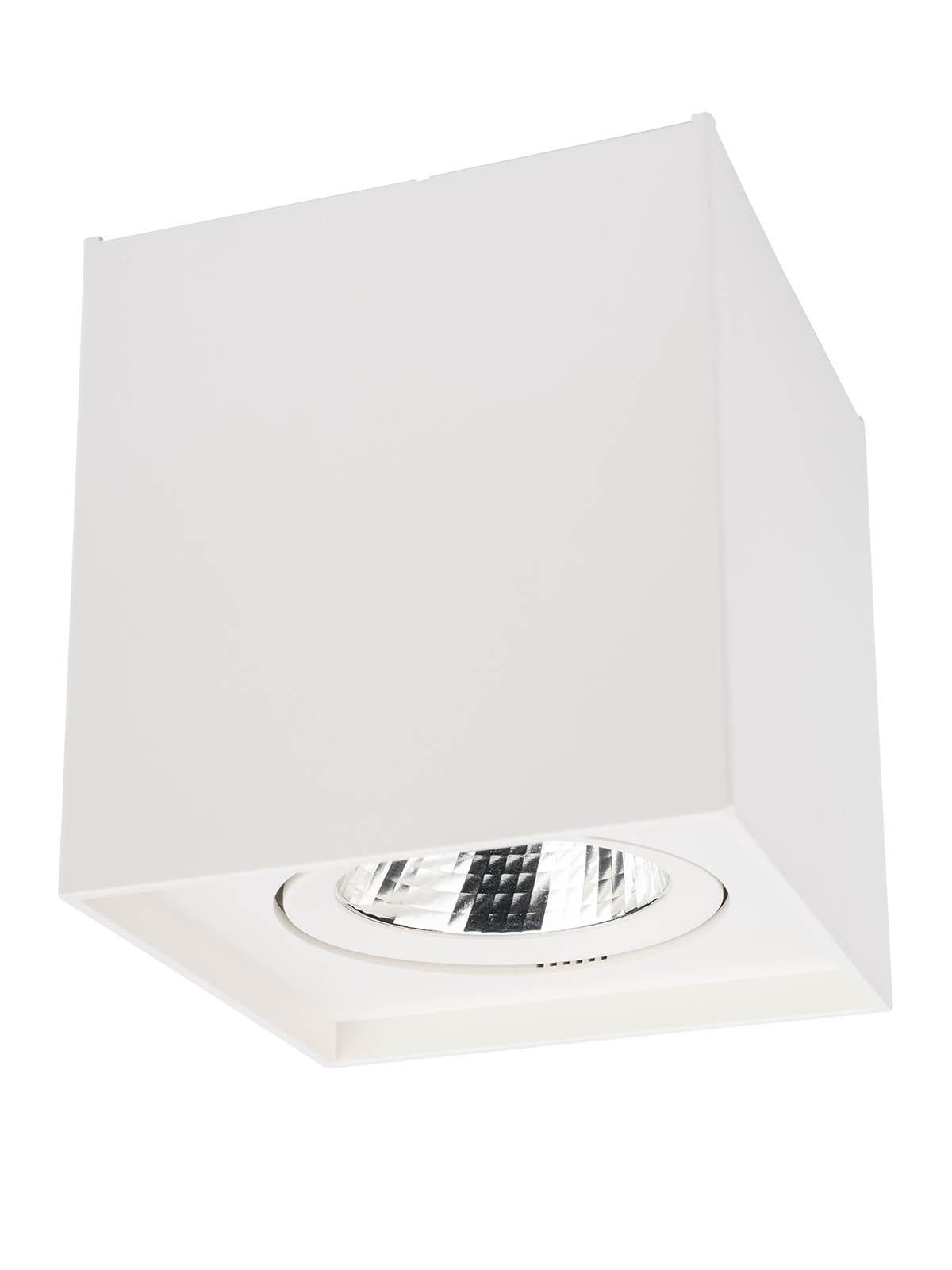 10W LED paviršinis pakreipiamas lubinis šviestuvas PC 01, matinės baltos sp., 4000K - Image 3