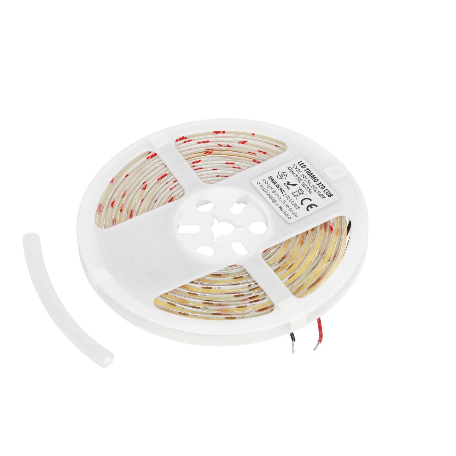 10W/m LED juosta, 6500K, IP65, 12V, 5m ritė