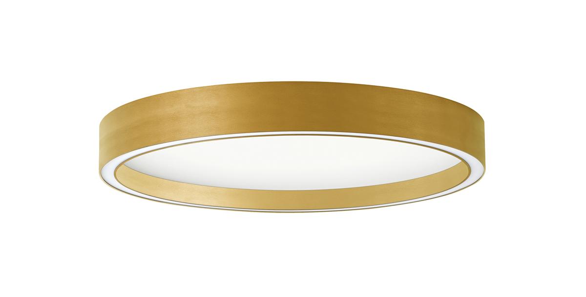 30W LED paviršinis šviestuvas VANESSA, šlifuoto aukso sp., 3000/4000K, dimeriuojamas, 4292701