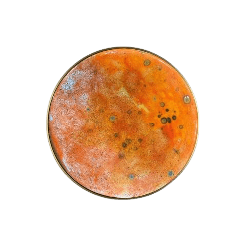 Sieninio šviestuvo CHAMALEON diskas, oranžinės sp., 14,5cm, K0003440NA - Image 3
