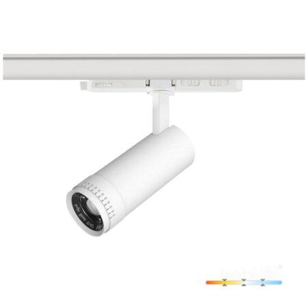 20W akcentinis šviestuvas į 3 fazių bėgelius LED NEXTRACK VISION, baltas, 3000/4000/5000K, 30-60°