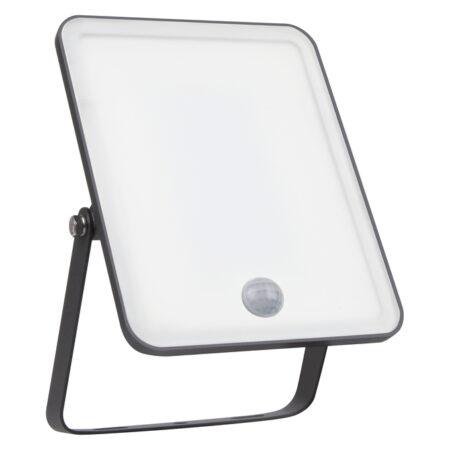 30W LED prožektorius ESSENTIAL, juodas, 4000K, su judesio davikliu