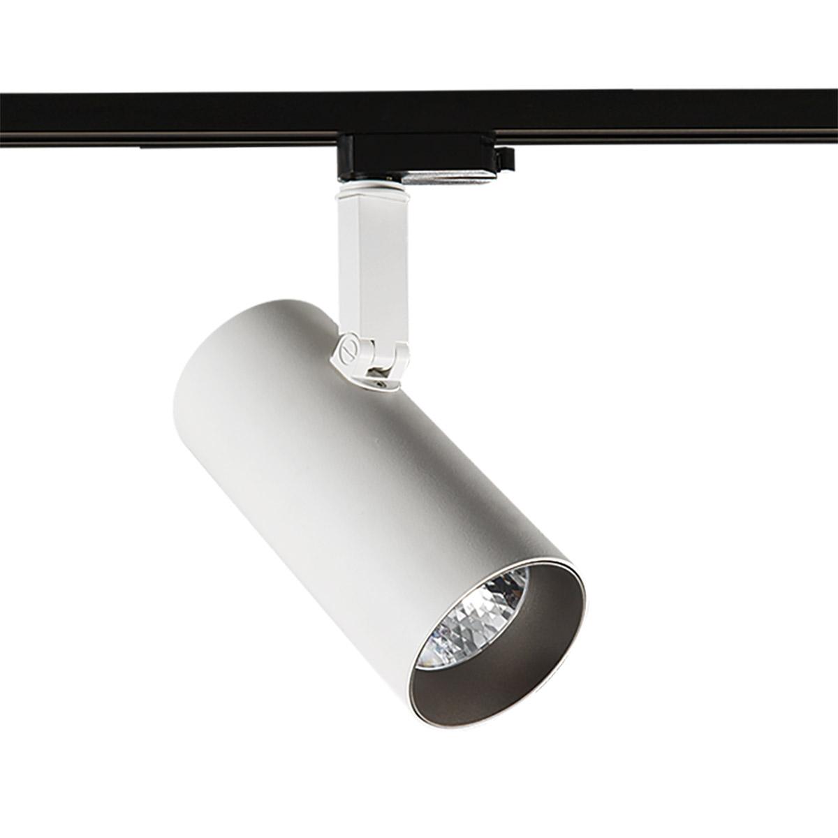 28W LED akcentinis vienfazis šviestuvas RUSSO M, baltos/pilkos sp., 4000K