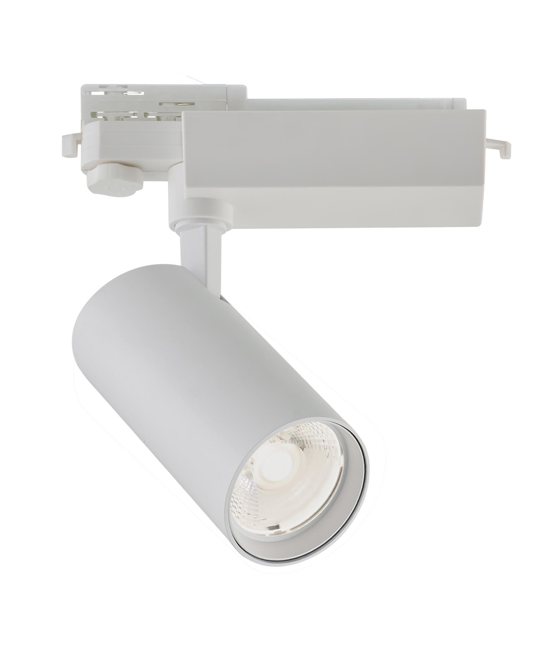 30W LED akcentinis šviestuvas į 3 fazių bėgelius HERCULES, baltas, 3000K, 3913-012W-3-S-24