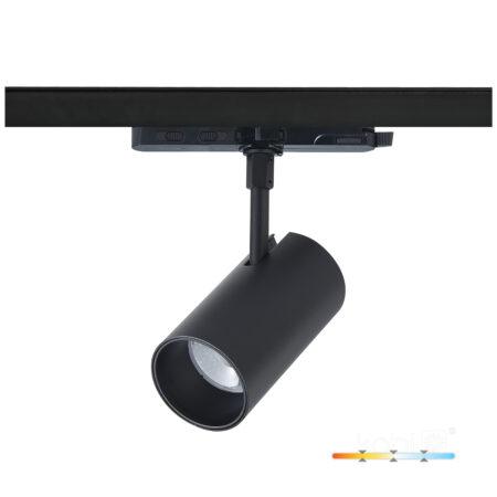 35W LED akcentinis šviestuvas į 3 fazių bėgelius NEXTRACK CORE, juodas, 3000/4000/5000K, 36°