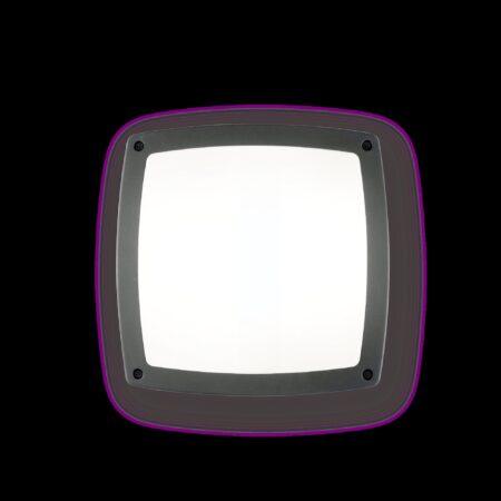 Paviršinis šviestuvas, 3 lempučių COMETA, E14, antracito spalvos, 082240