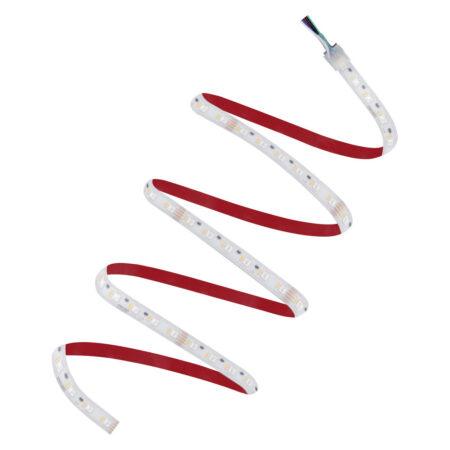 20W/m LED juosta PERFORMANCE RGBW, 5m, 6500K, 24V