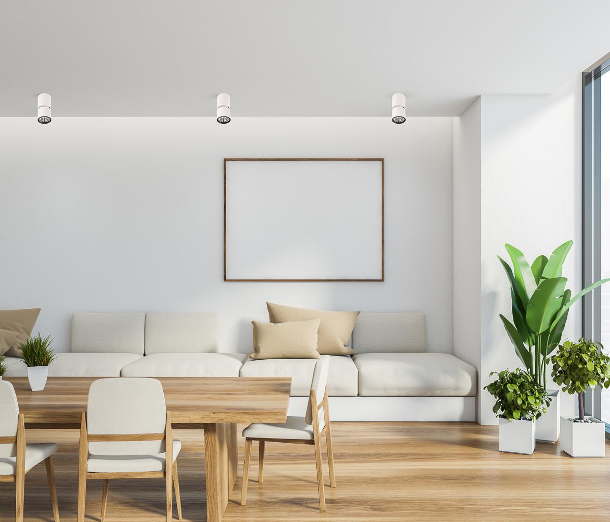 5W LED paviršinis akcentinis lubų šviestuvas BONIVA, baltos/juodos sp., 3000K