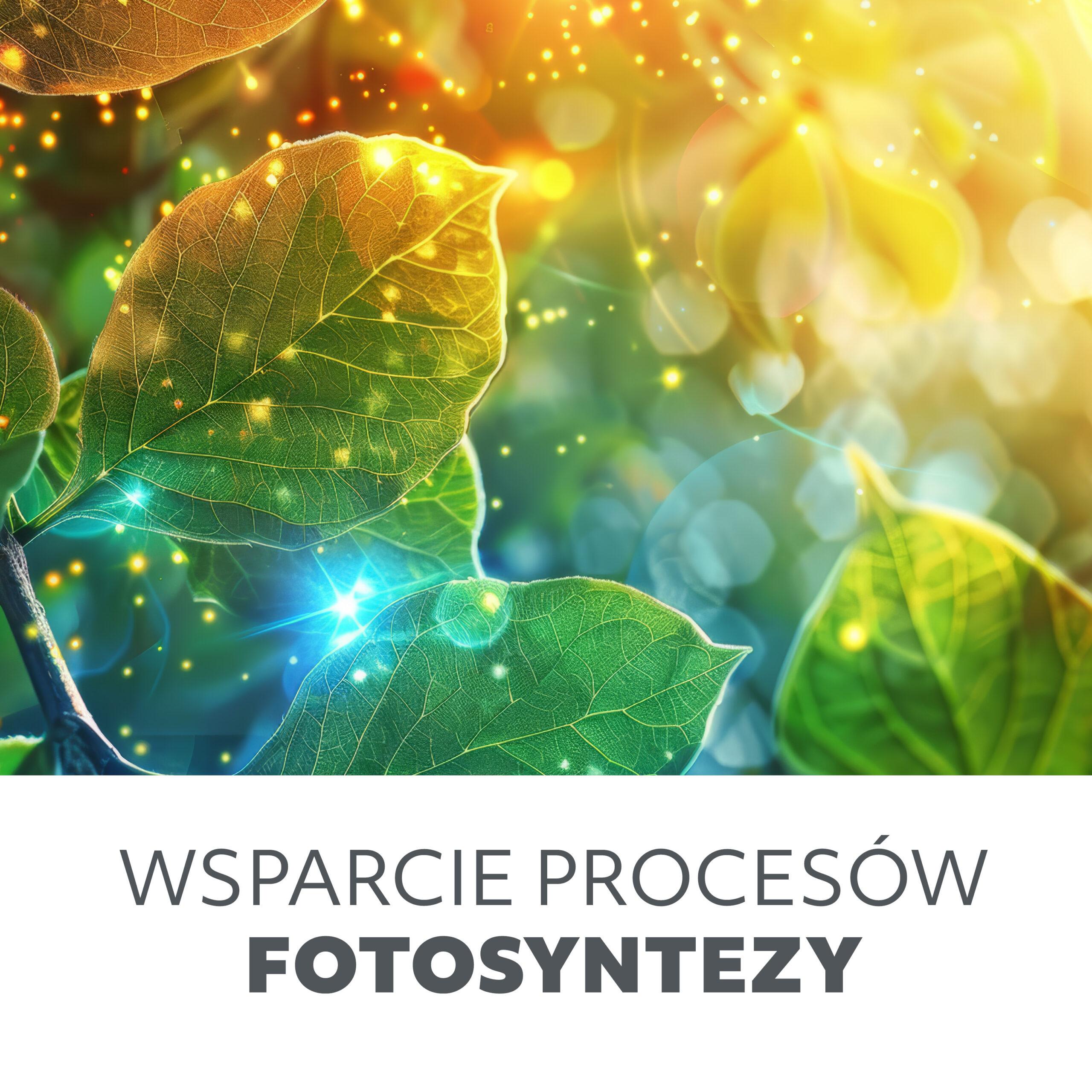 10W LED pastatomas šviestuvas augalų auginimui VITARO, juodas - Image 6