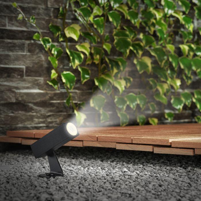 2W LED įsmeigiamas lauko šviestuvas, juodas, 3000K - Image 5