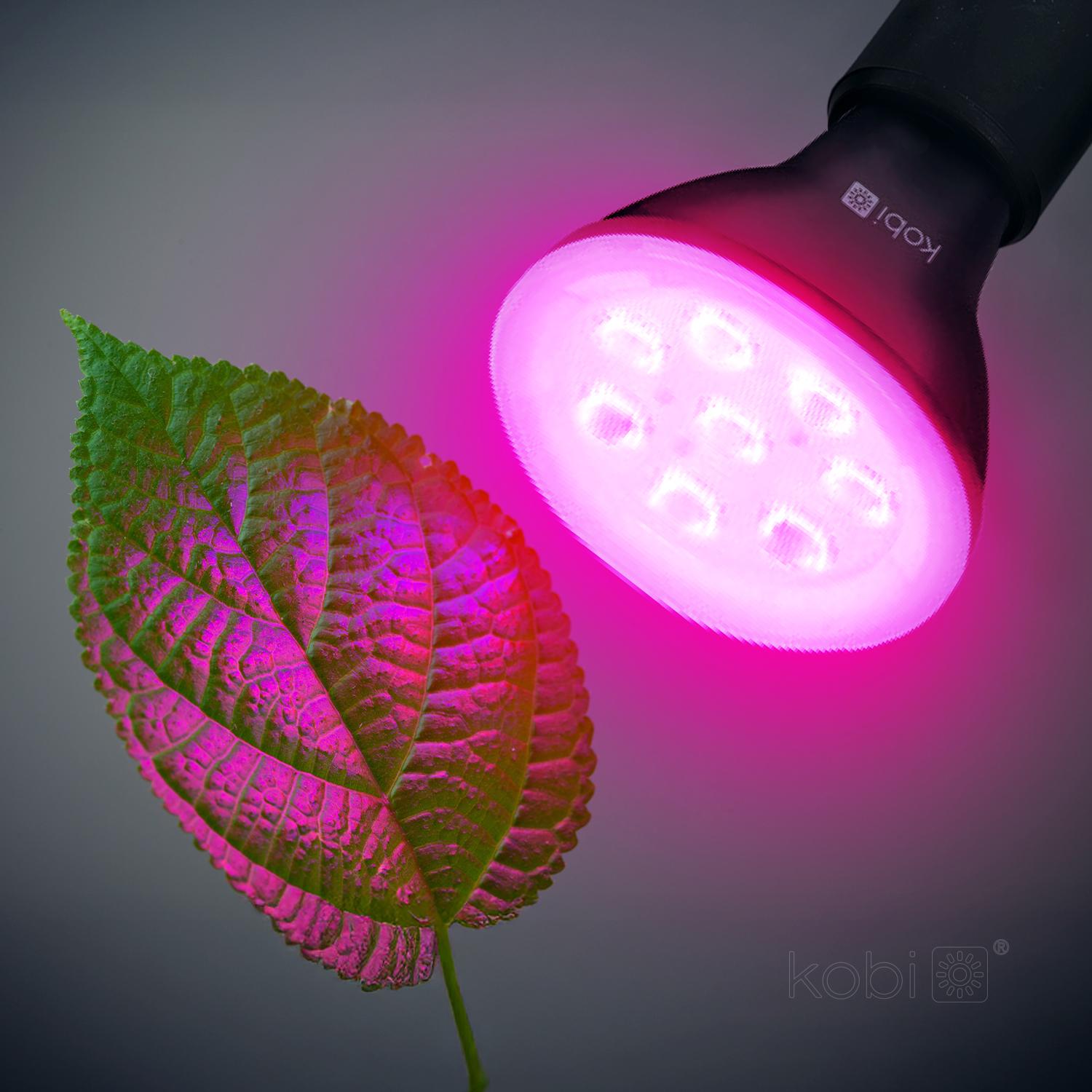 7W LED augalų auginimo lemputė PLANTY, E27, juoda, 1200K - Image 2